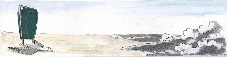 Meeuw op strand